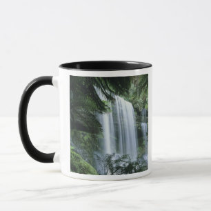 Tasmania, Mt. Field Nationalpark, Russell Falls Tasse