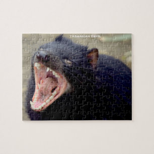 Tasmanian Devil Australien