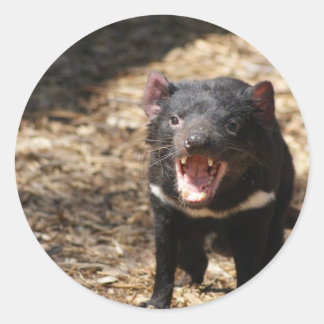 Tasmanian Devil Runder Aufkleber
