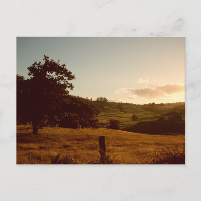 Tasmanian Summer Sunset Postkarte (Vorderseite)