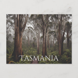 Tasmanie (6) postkarte