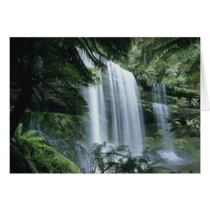 Tasmanie, Parc national du mont Field, Russell Fal