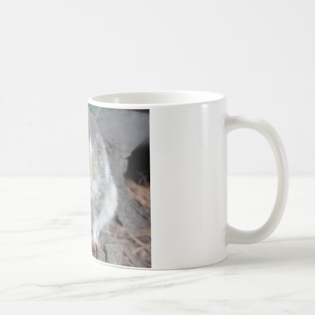 Tasmaniens Quoll Kaffeetasse (Rechts)