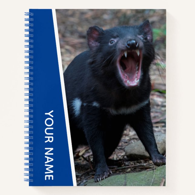 Tasmanischer Teufel, Tasmanien, Australien, Blau Notizbuch (Vorderseite)