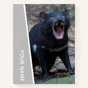 Tasmanischer Teufel, Tasmanien, Australien, Silber Notizbuch