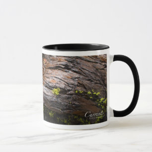 Tasse
