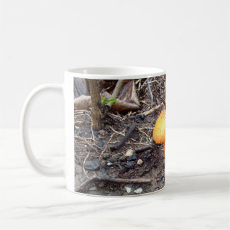 Tasse