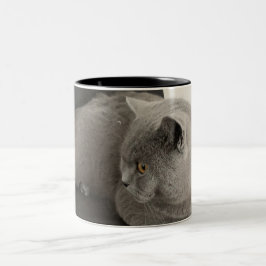 Tasse