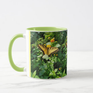 Tasse