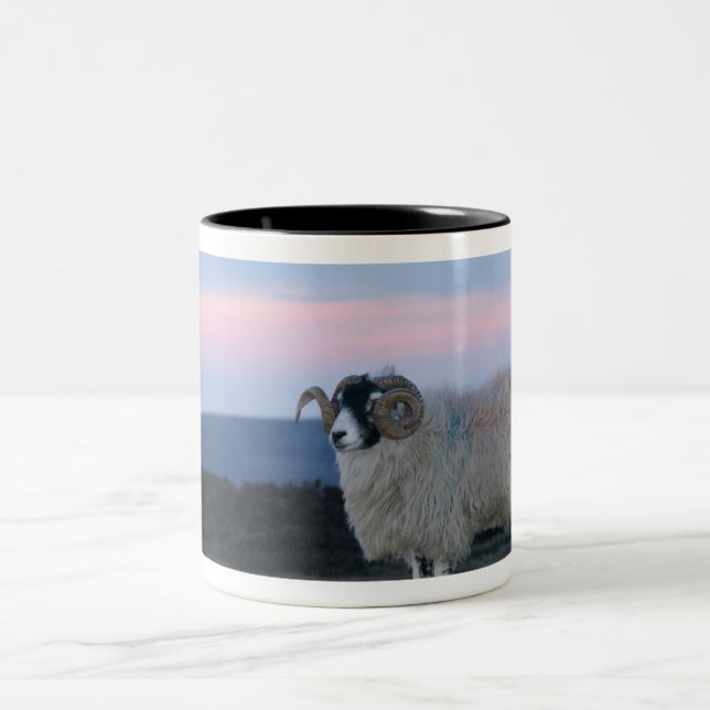 Tasse (Mittel)