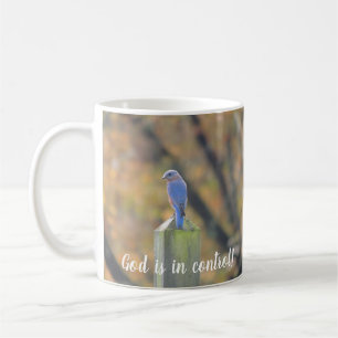 Tasse