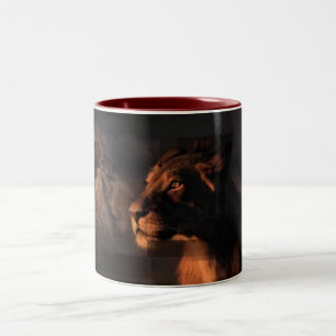 Tasse