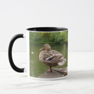 Tasse