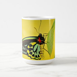 Tasse