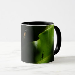 Tasse