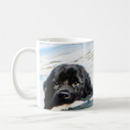 Tasse