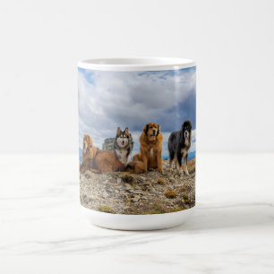 Tasse