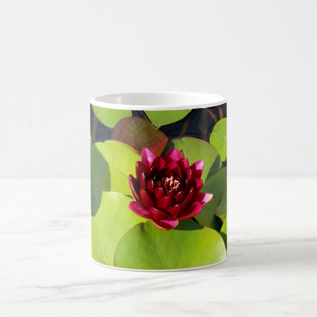 Tasse (Mittel)