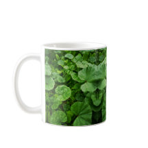 Tasse
