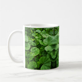 Tasse