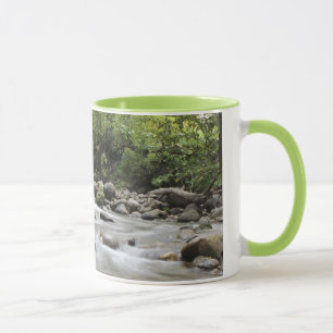 Tasse