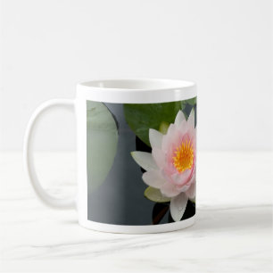 Tasse