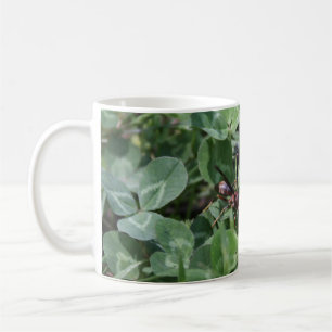 Tasse