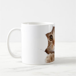 Tasse
