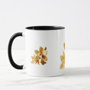 Tasse