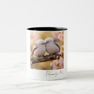 Tasse