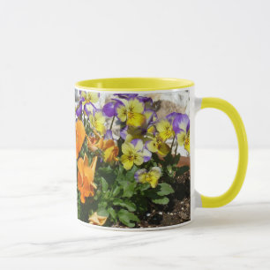 Tasse 1 d'alto