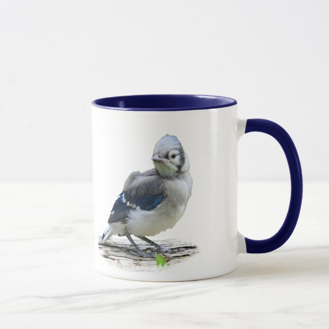 Tasse #1 de geai bleu de bébé (Droite)