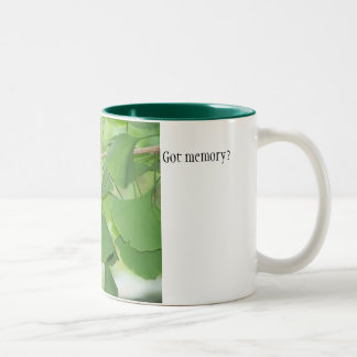 Tasse 2 Couleurs 100_0337, obtenu la mémoire ?