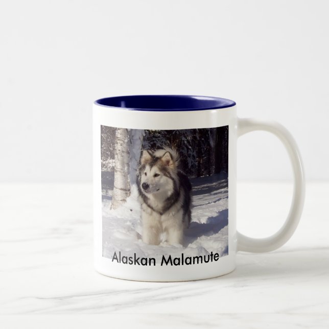 Tasse 2 Couleurs 100_5815, Malamute d'Alaska (Droit)