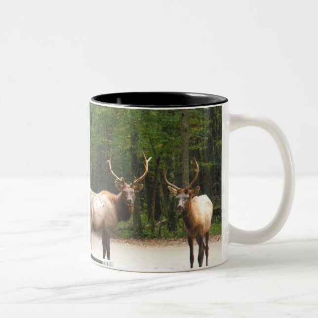 Tasse 2 Couleurs 2 Elk Rocky Mountain (Droit)