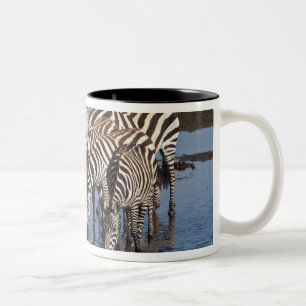 Tasse 2 Couleurs Afrique. Tanzanie. Zèbres buvant à Ndutu