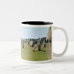 Tasse 2 Couleurs Alignement des pierres debout, mégalithique