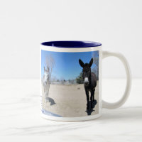Amitié mignonne de Burros