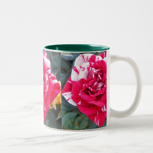 Tasse 2 Couleurs Ancienne (Droit)