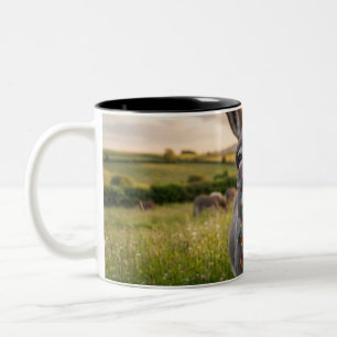 Tasse 2 Couleurs Âne du matin heureux