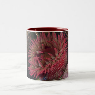 Tasse 2 Couleurs anémone rose Blanc-repérée