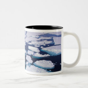 Tasse 2 Couleurs Antarctique, Écoulement de glace.