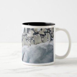Tasse 2 Couleurs Antarctique, île Paulet. Manchots Adélie