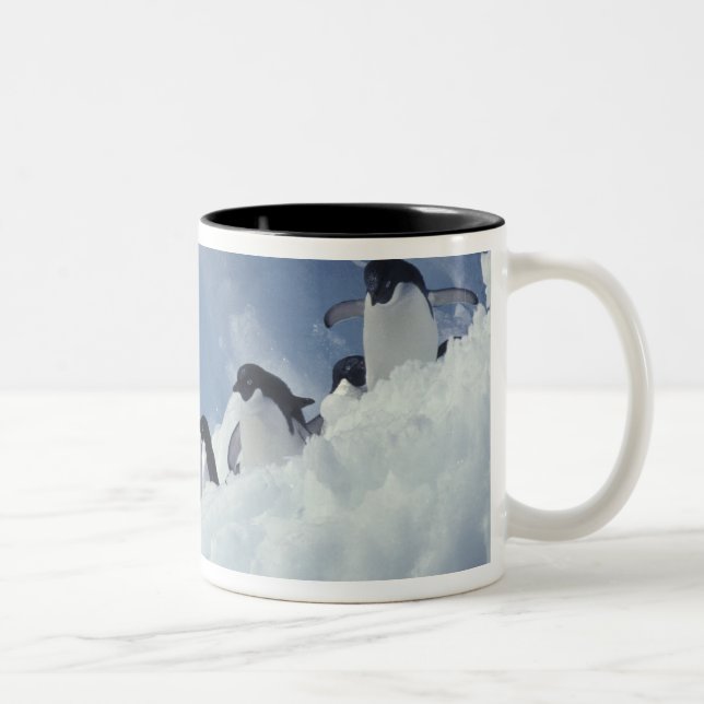 Tasse 2 Couleurs Antarctique. Pingouins d'Adelie (Droit)