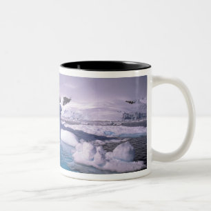 Tasse 2 Couleurs Antarctique. Sévices de l'Antarctique 2