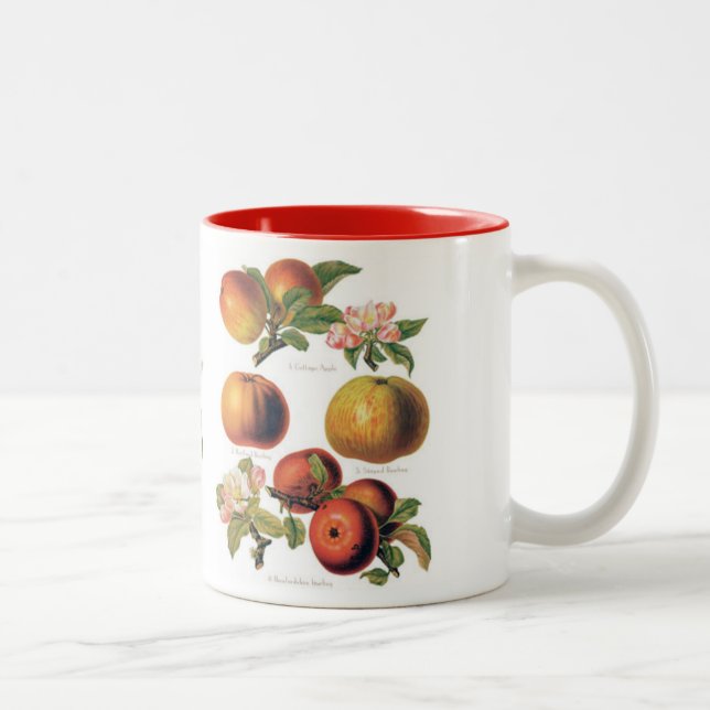 Tasse 2 Couleurs Apple attaquent (vous pouvez customiser) (Droit)