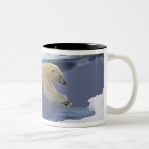 Tasse 2 Couleurs Arctique, Svalbard, Ours polaire s'étendant