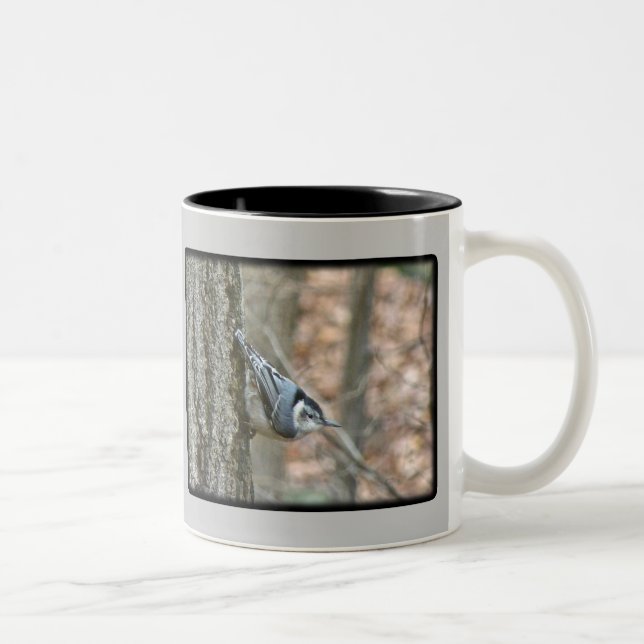 Tasse 2 Couleurs Ardoise Gris Nuthatch Songbird Articles Coordonnés (Droit)