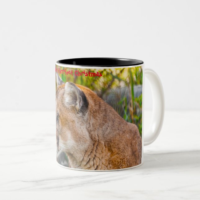 Tasse 2 Couleurs Avoir un Noël parfait (Devant droit)