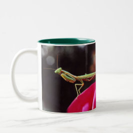 Tasse 2 Couleurs Avons-nous été présentés ?